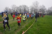 DSC00433 DSC00433